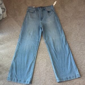 Joe's Jeans Wide Leg El Salvador  Sky Blue Flare Women's Jeans